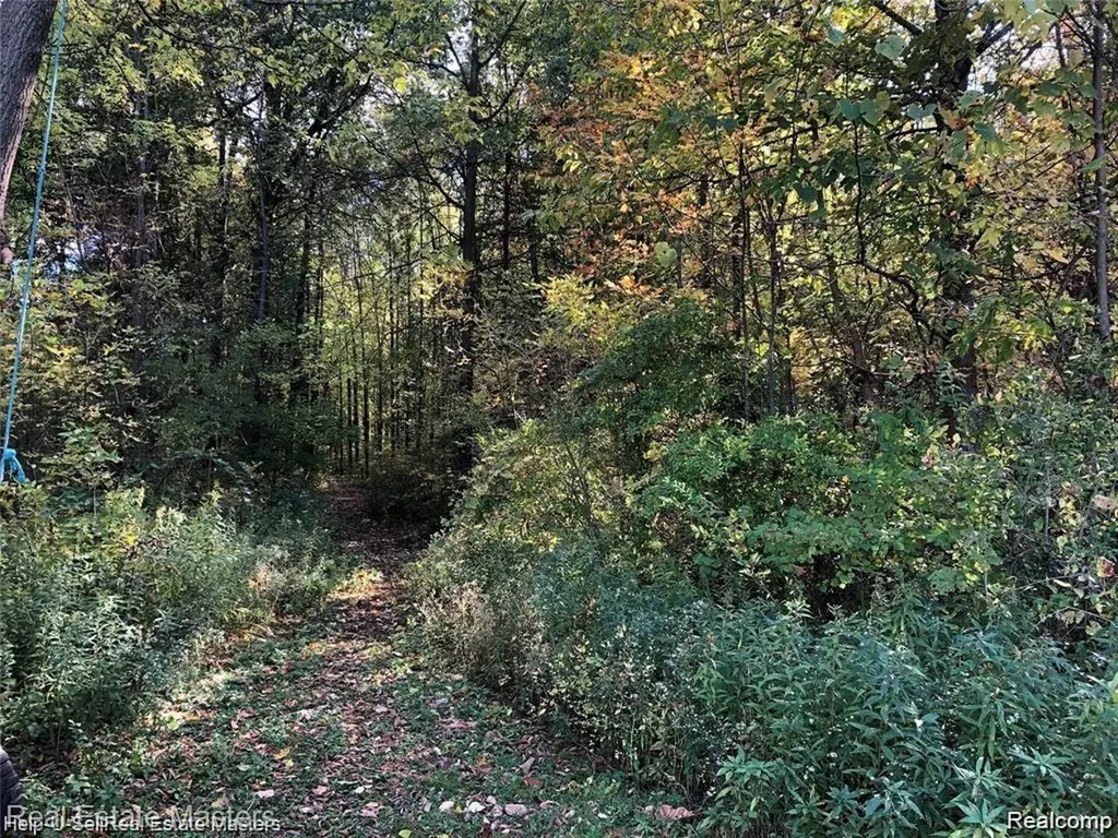7627 Lapeer Road Wales Township MI 48027