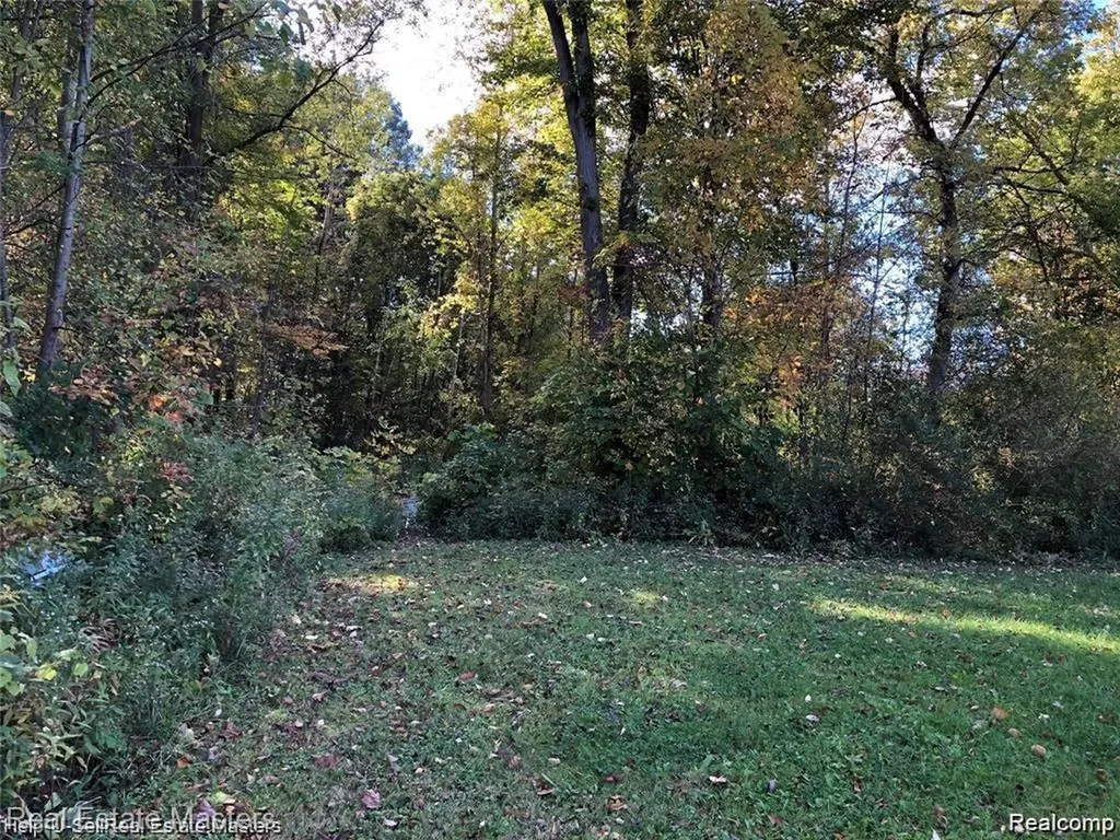 7627 Lapeer Road Wales Township MI 48027