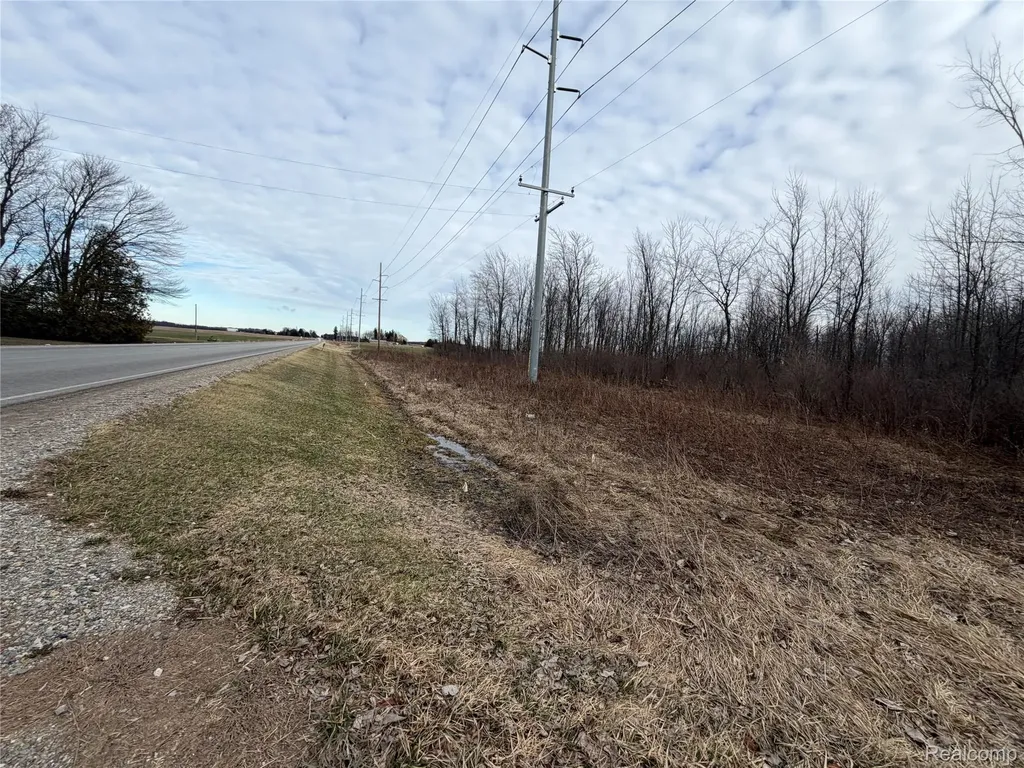 3155 Peck Road Flynn Township MI 48416