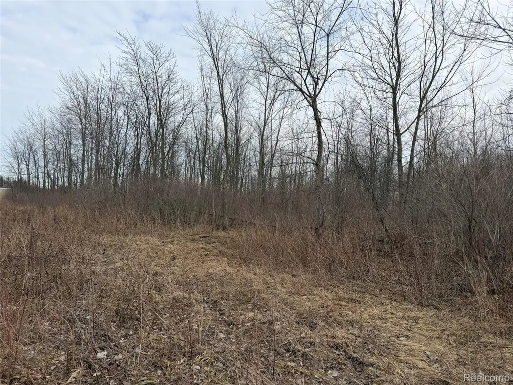 3155 Peck Road Flynn Township MI 48416