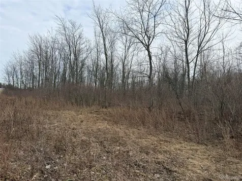 3155 Peck Road Flynn Township MI 48416