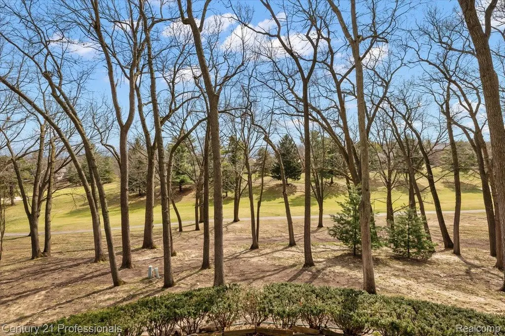 5423 Bristol Parke Drive Independence Charter Township MI 48348