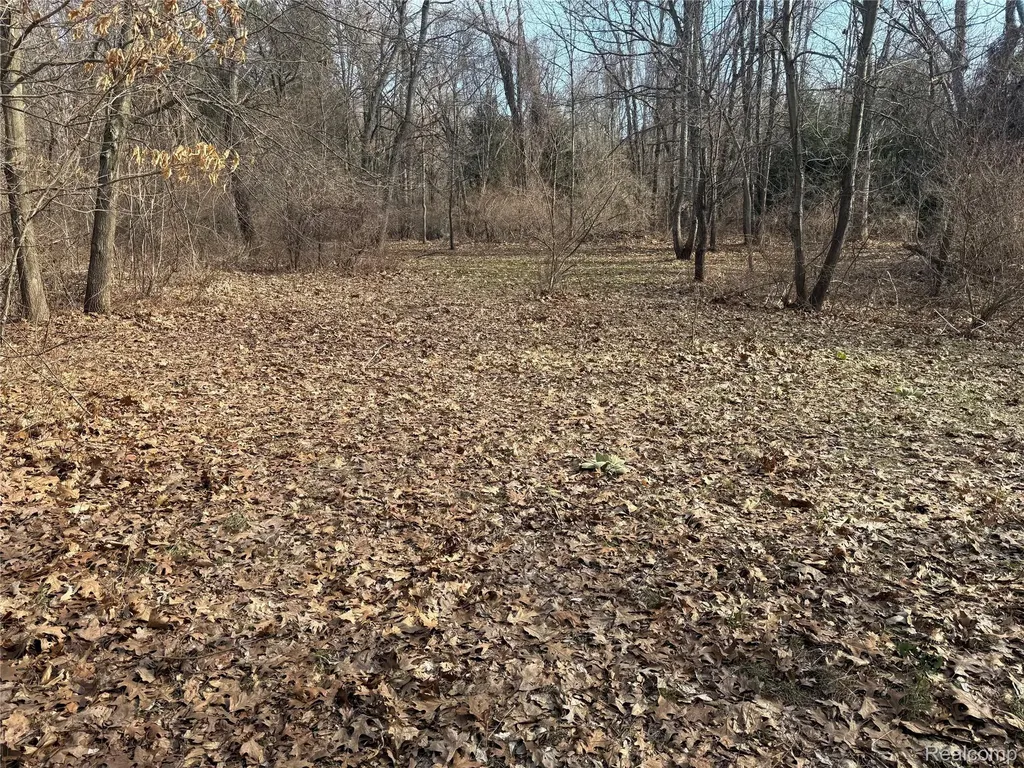 2096 Hunter Road Brighton Township MI 48114