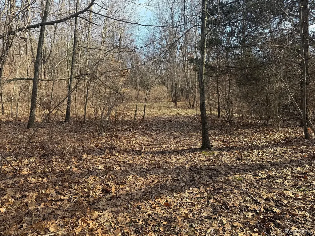 2096 Hunter Road Brighton Township MI 48114