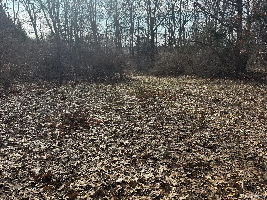 2096 Hunter Road Brighton Township MI 48114