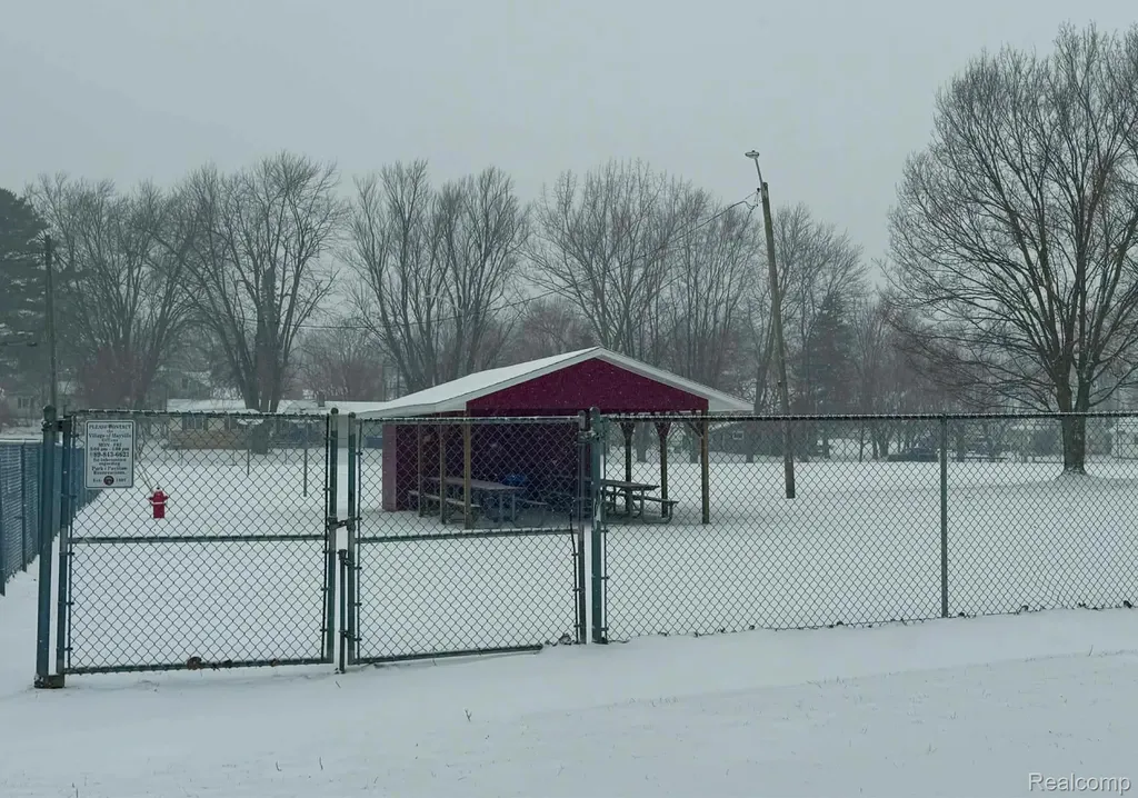 6140 1st Street Mayville Village MI 48744