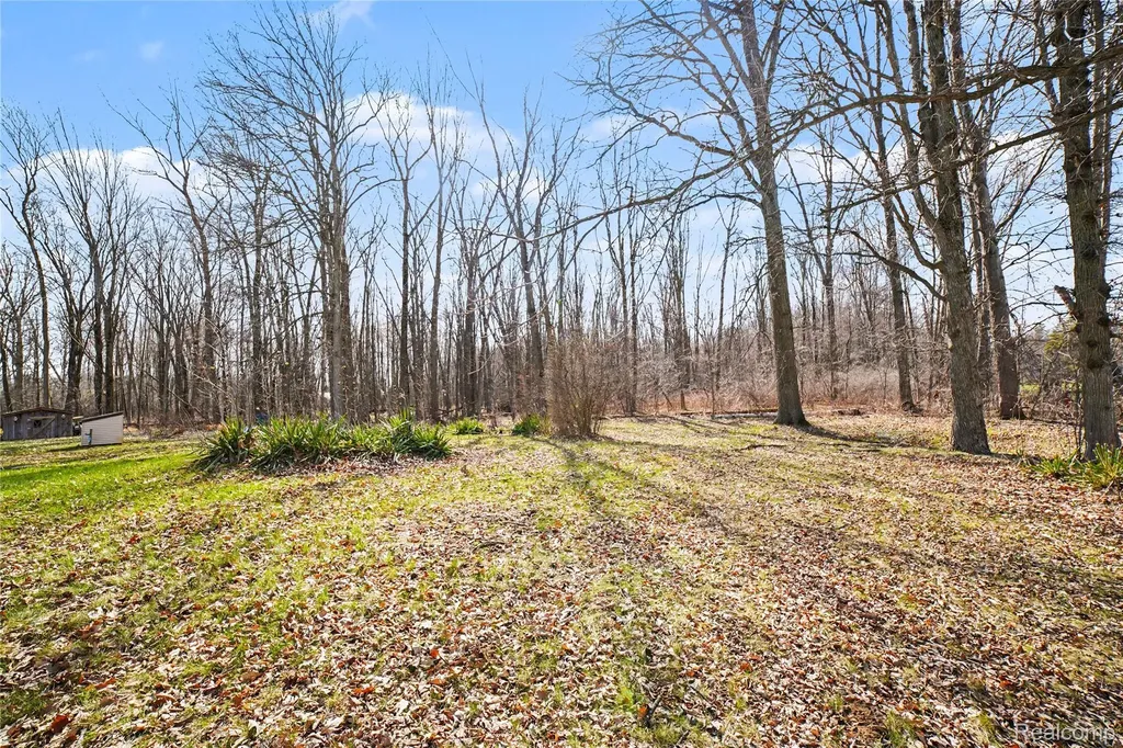 250 S Leaton Road Chippewa Township MI 48858