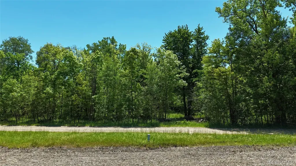 0 Williams Road Argentine Township MI 48436