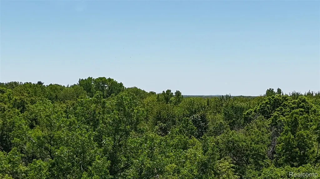 0 Williams Road Argentine Township MI 48436