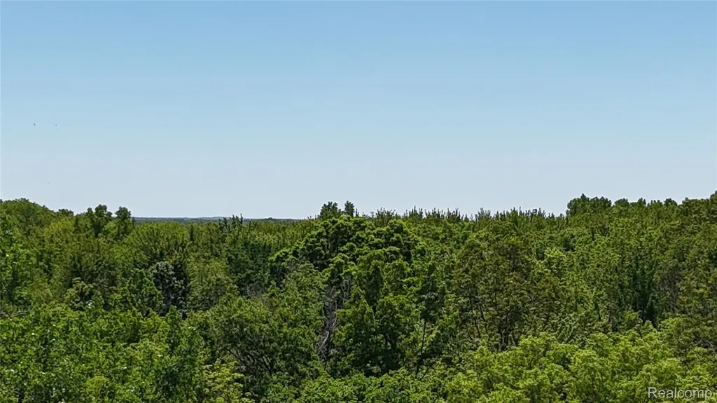 0 Williams Road Argentine Township MI 48436