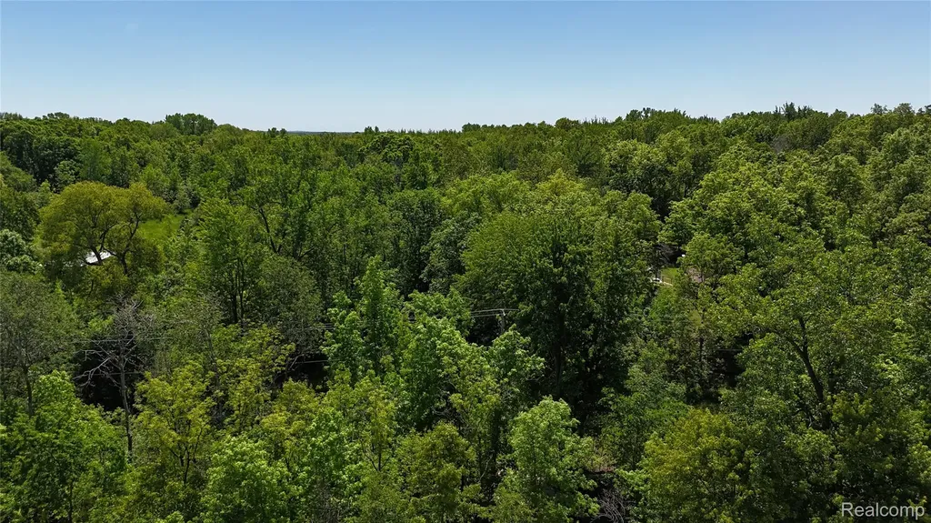 0 Williams Road Argentine Township MI 48436