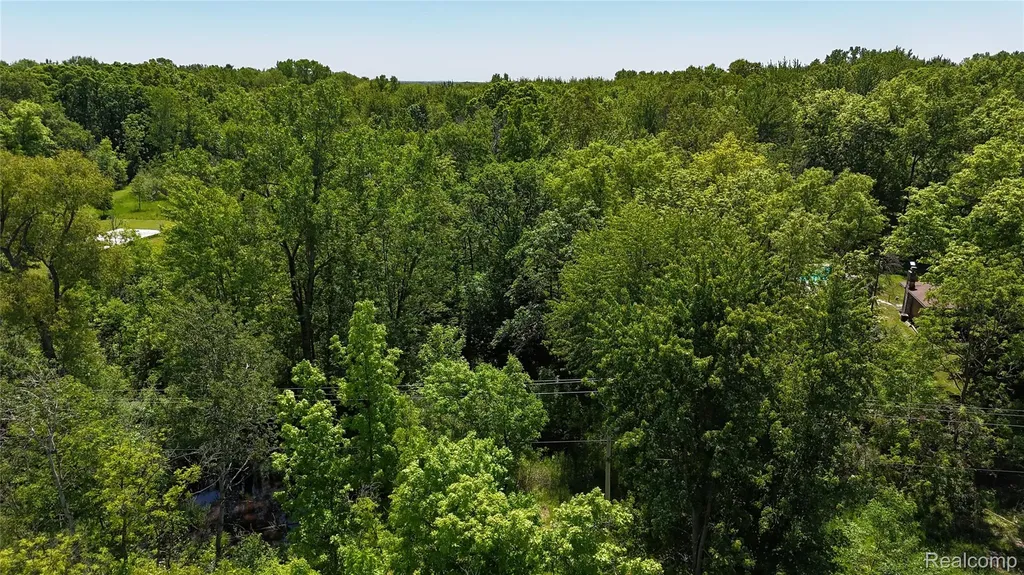 0 Williams Road Argentine Township MI 48436