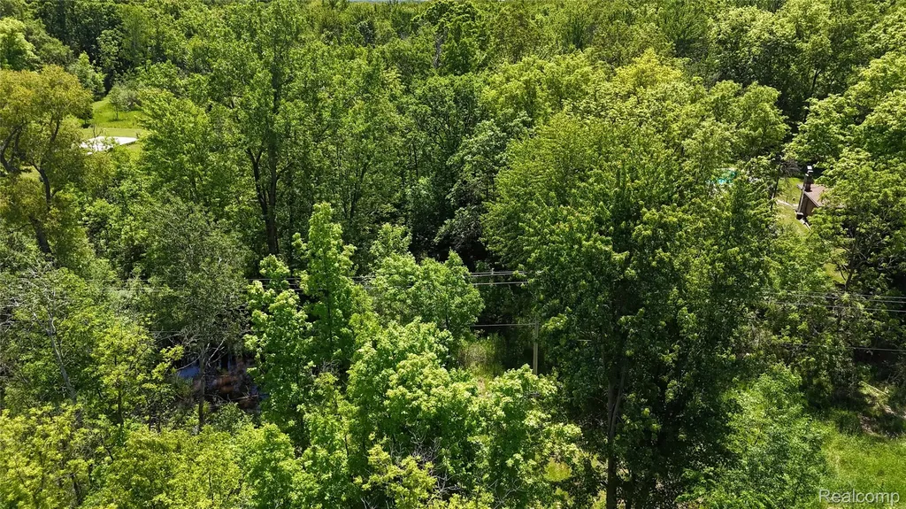 0 Williams Road Argentine Township MI 48436