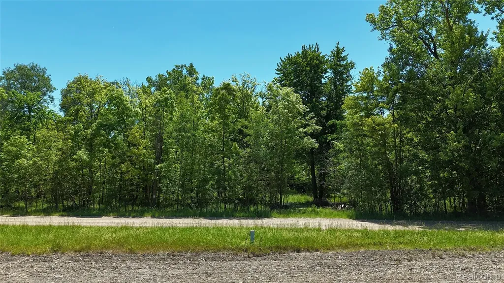 0 Williams Road Argentine Township MI 48436