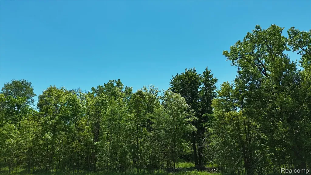 0 Williams Road Argentine Township MI 48436