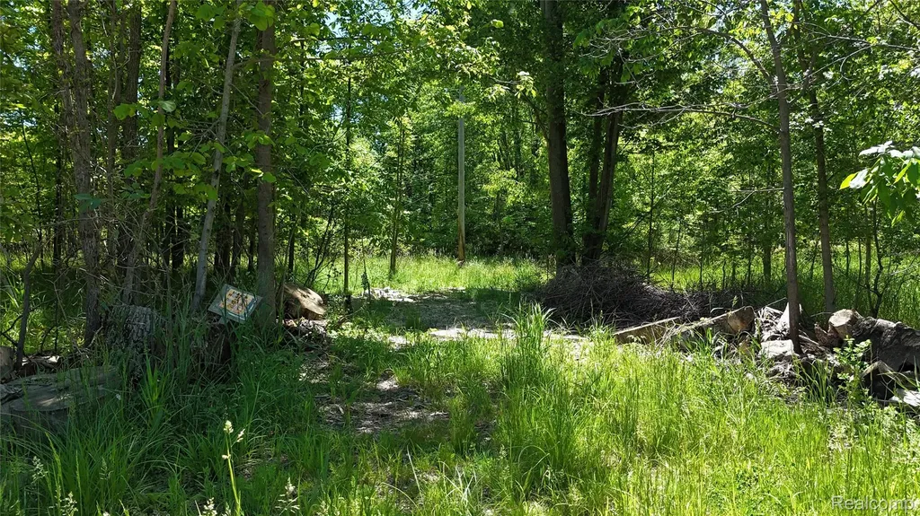 0 Williams Road Argentine Township MI 48436