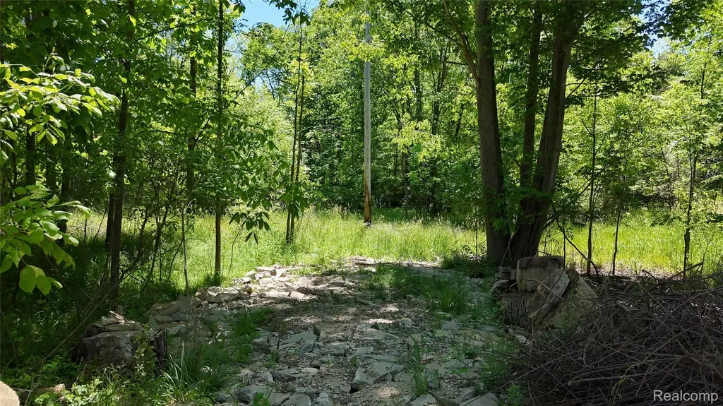 0 Williams Road Argentine Township MI 48436
