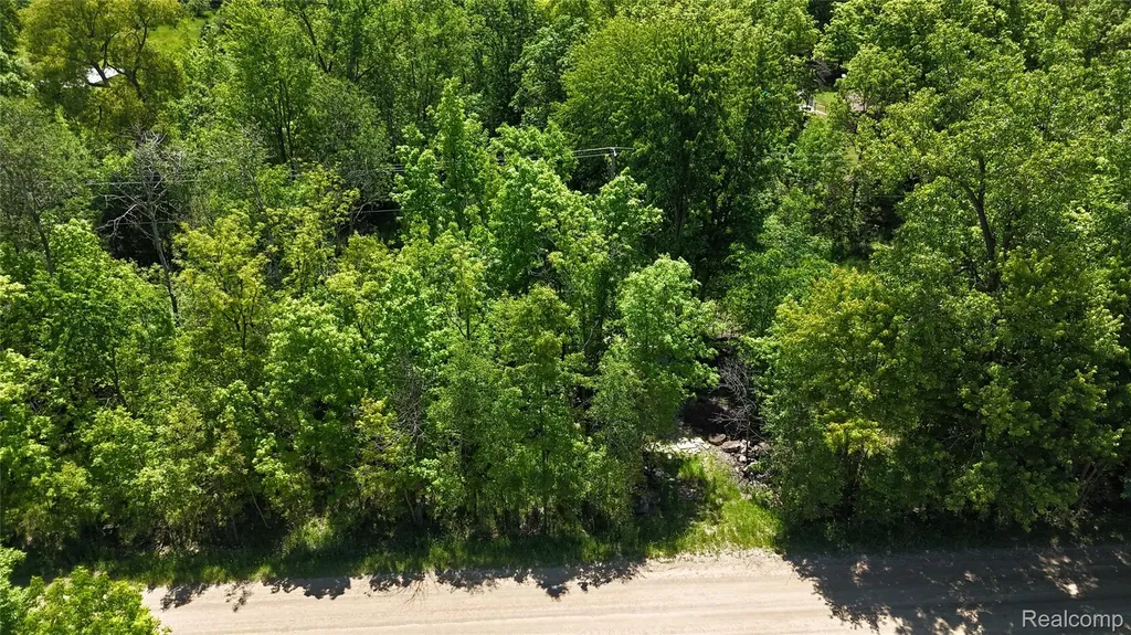 0 Williams Road Argentine Township MI 48436