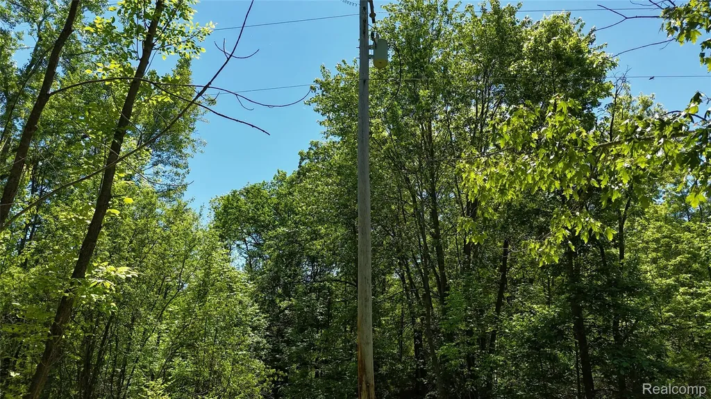 0 Williams Road Argentine Township MI 48436