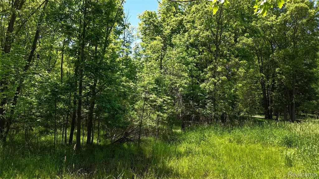 0 Williams Road Argentine Township MI 48436