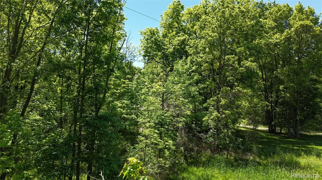0 Williams Road Argentine Township MI 48436