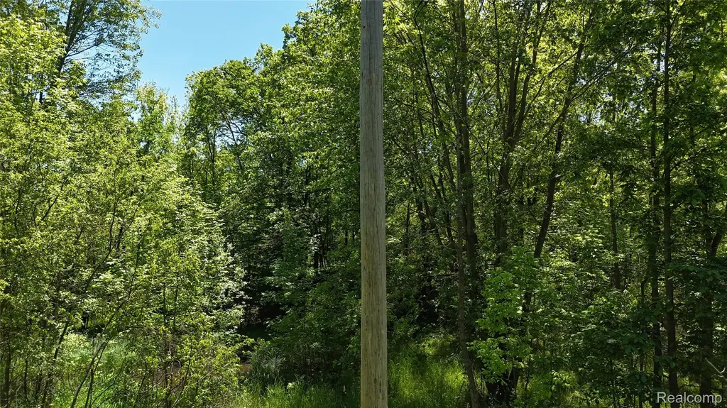 0 Williams Road Argentine Township MI 48436