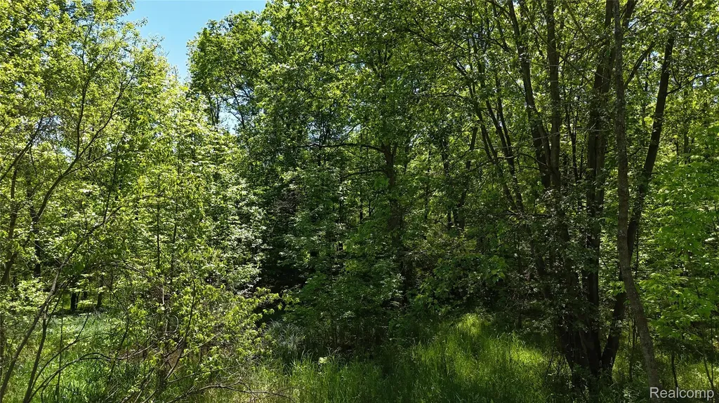 0 Williams Road Argentine Township MI 48436