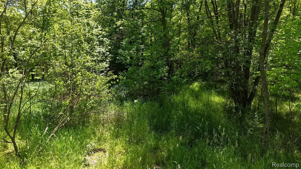 0 Williams Road Argentine Township MI 48436