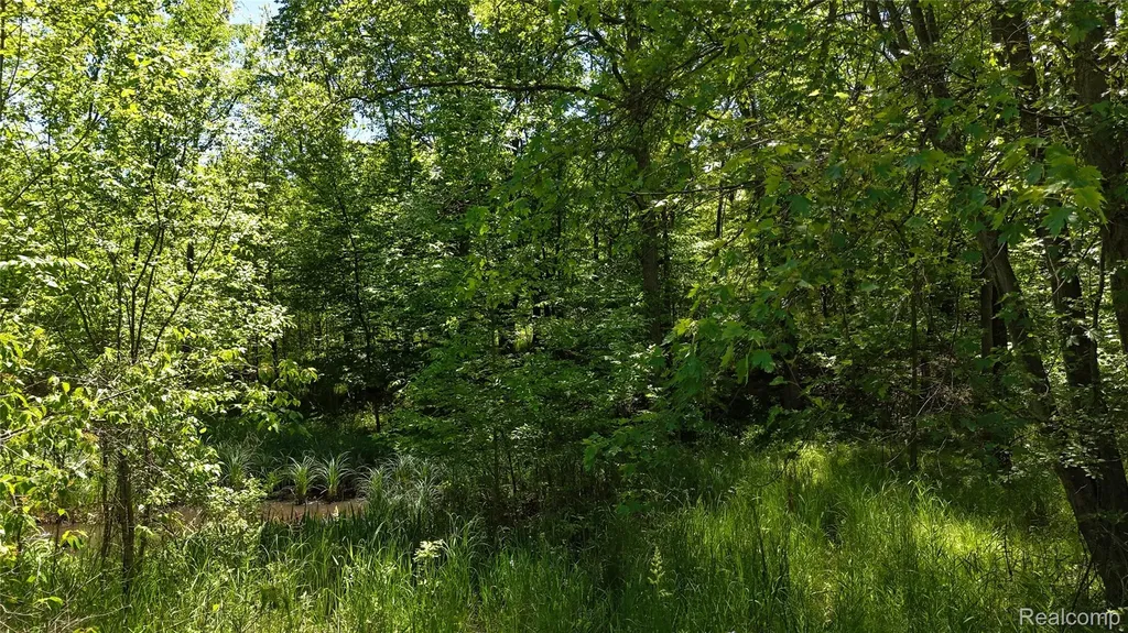 0 Williams Road Argentine Township MI 48436
