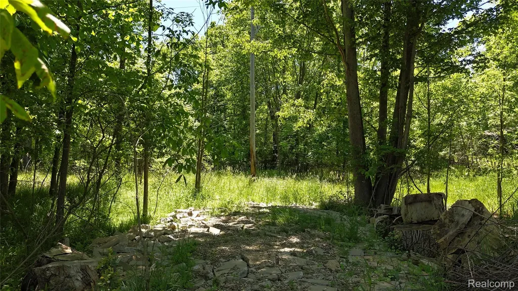 0 Williams Road Argentine Township MI 48436