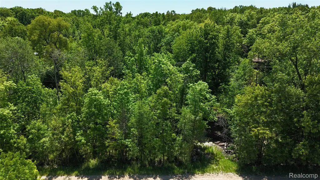 0 Williams Road Argentine Township MI 48436