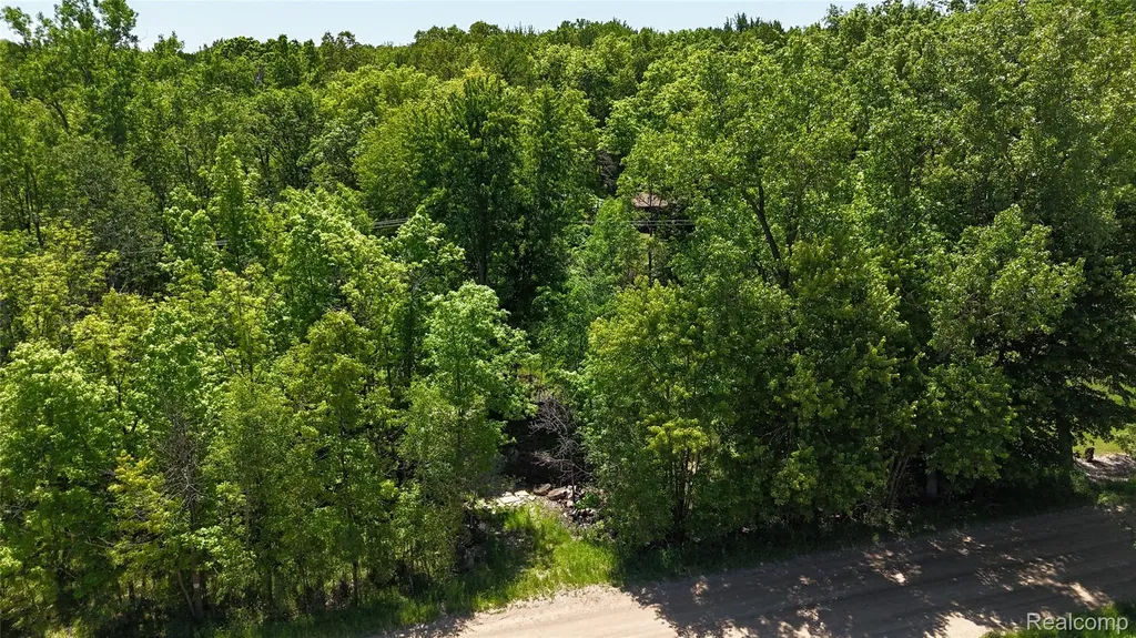 0 Williams Road Argentine Township MI 48436