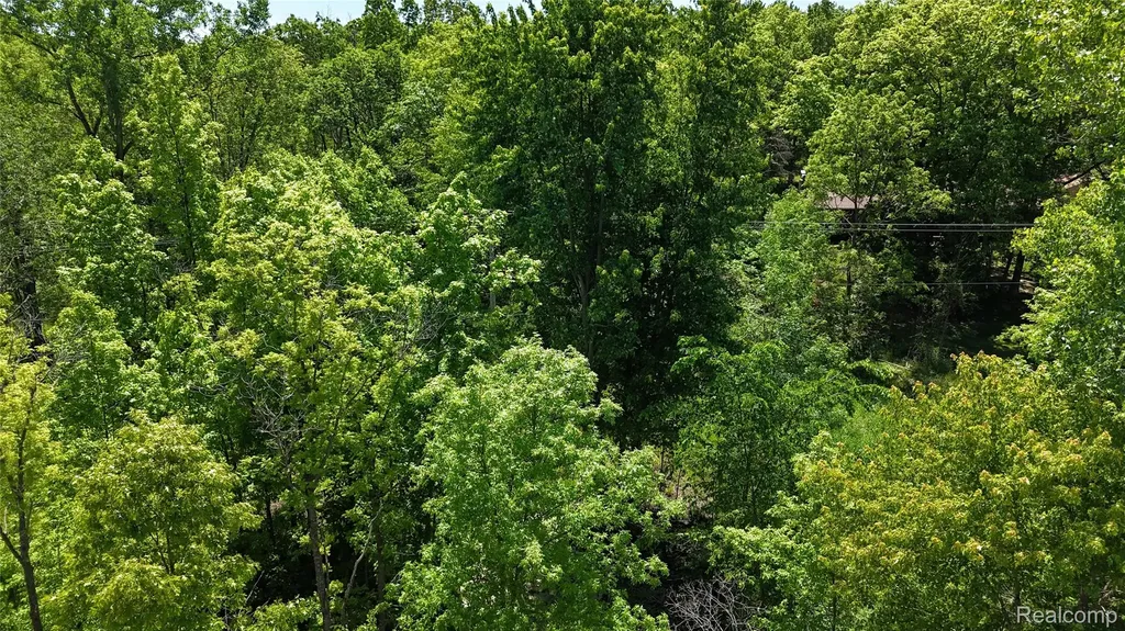 0 Williams Road Argentine Township MI 48436