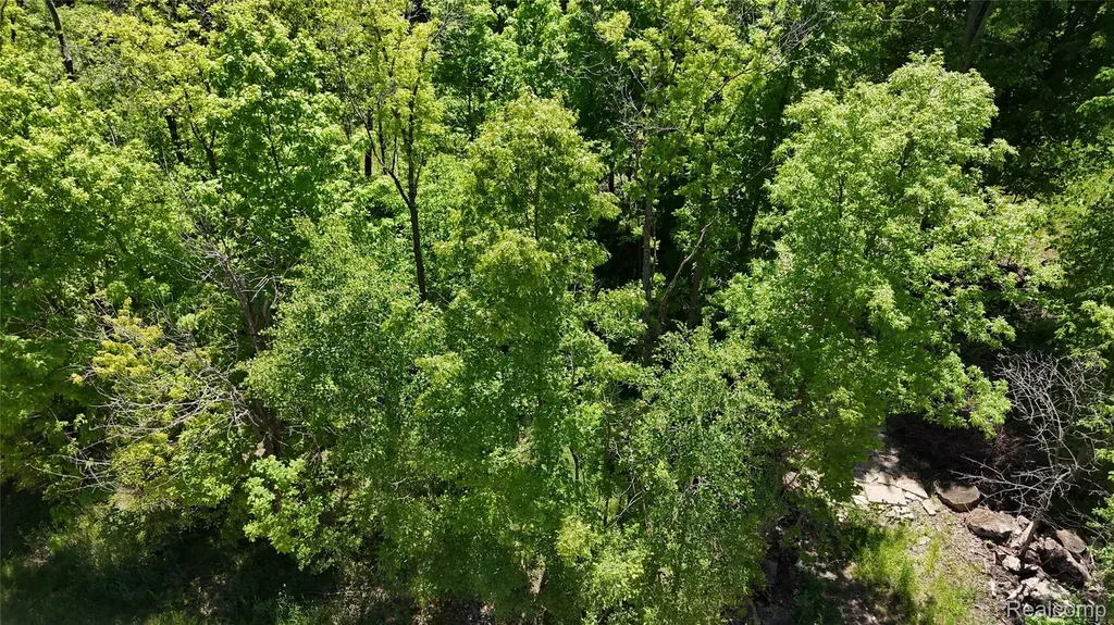 0 Williams Road Argentine Township MI 48436