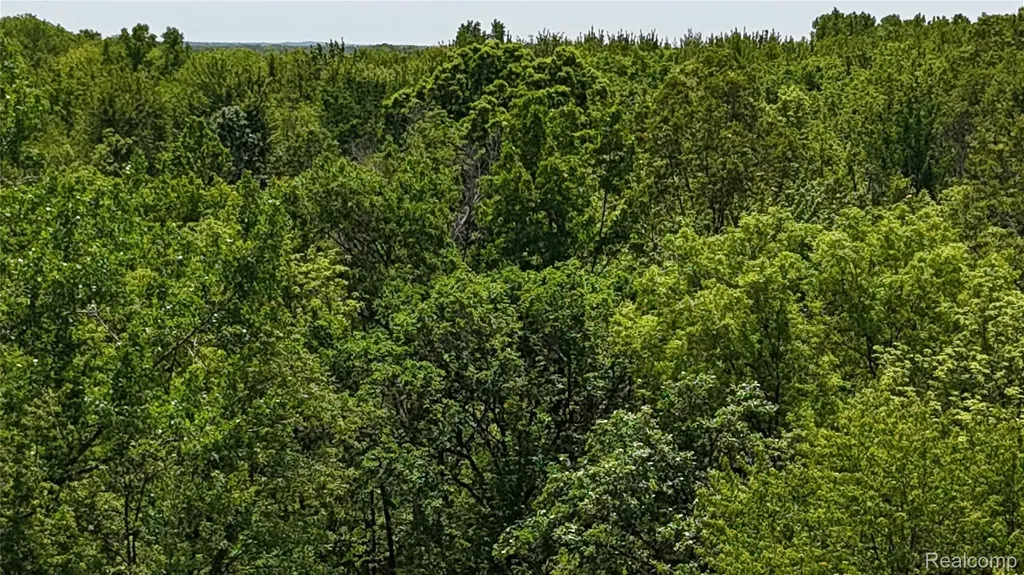 0 Williams Road Argentine Township MI 48436