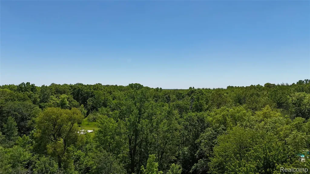 0 Williams Road Argentine Township MI 48436