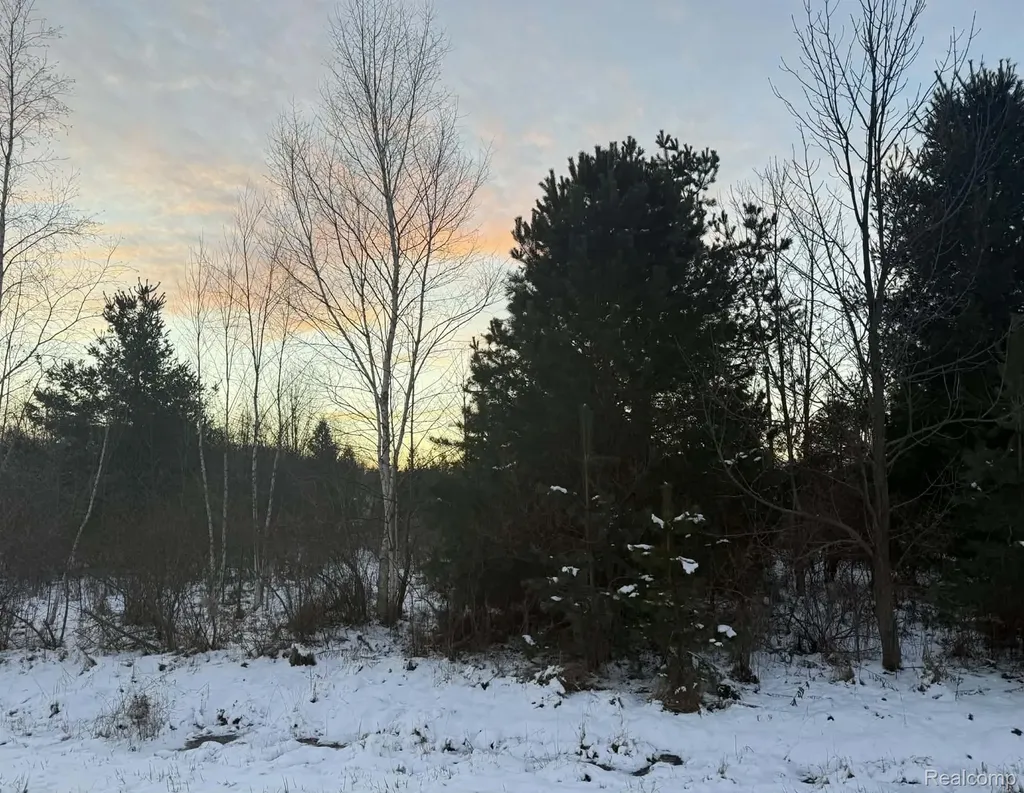 0000 Bellaire Drive Sherman Township MI 48441