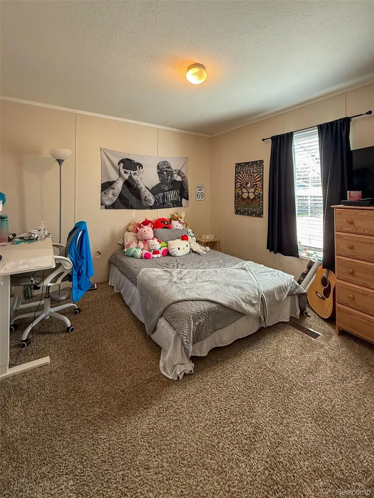 389 Rustic Lane N Sumpter Township MI 48111
