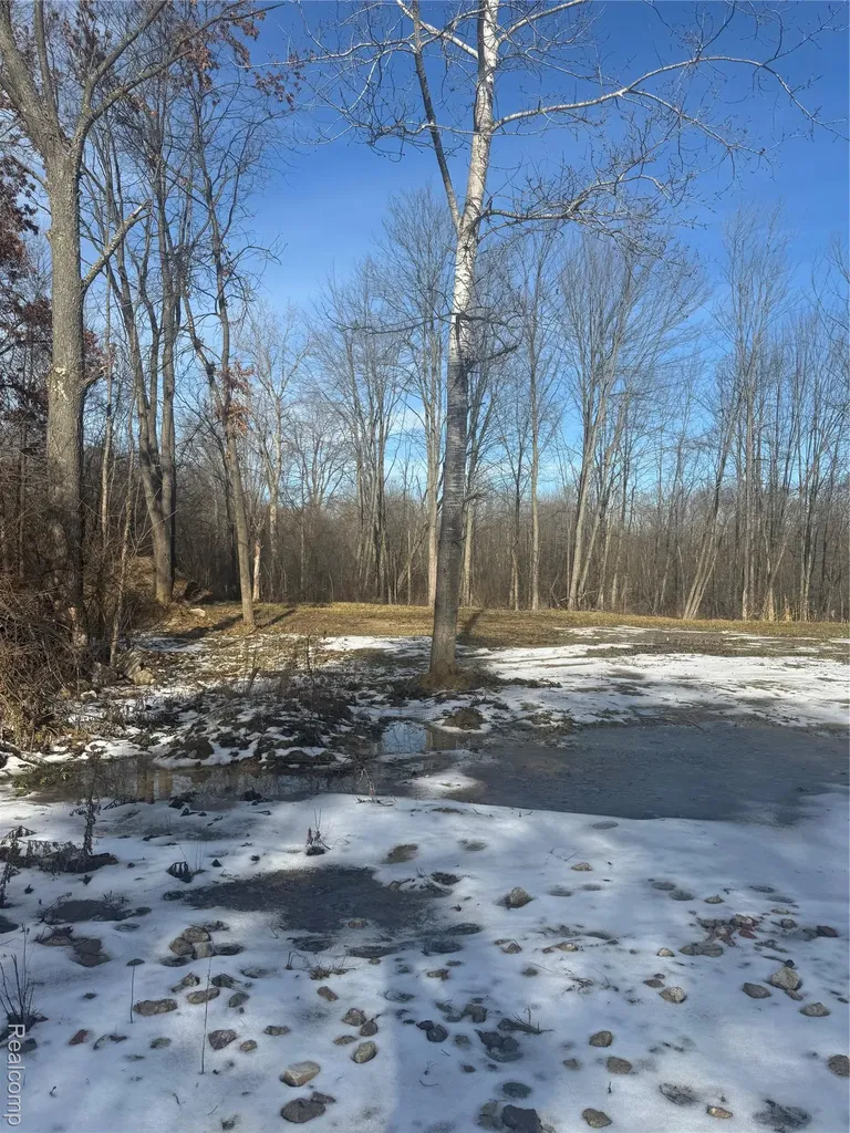 14329 Linder Drive Holly Township MI 48442