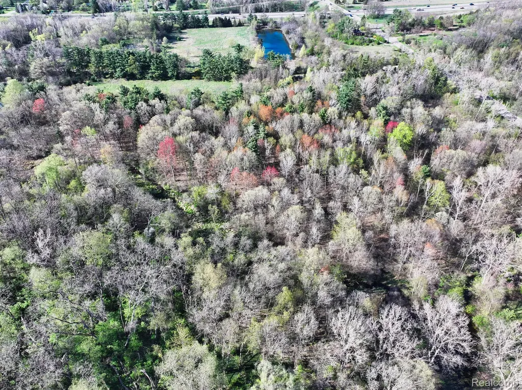 5920 Pleasant Valley Road Brighton Township MI 48116