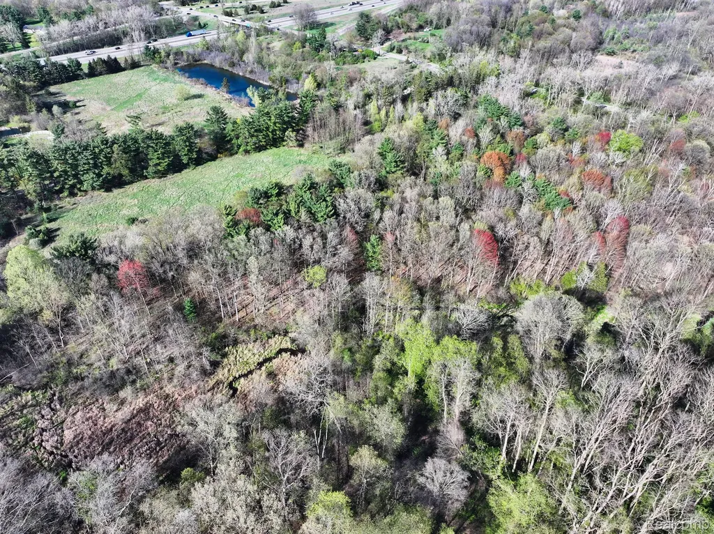 5920 Pleasant Valley Road Brighton Township MI 48116