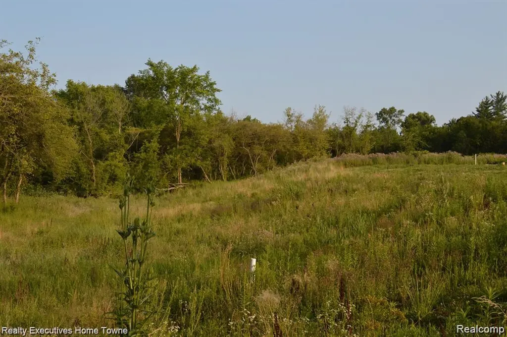 54620 Washington Chesterfield Township MI 48047