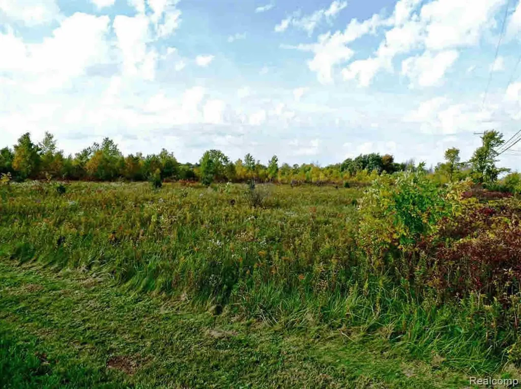 9147 Corunna Road Clayton Charter Township MI 48532