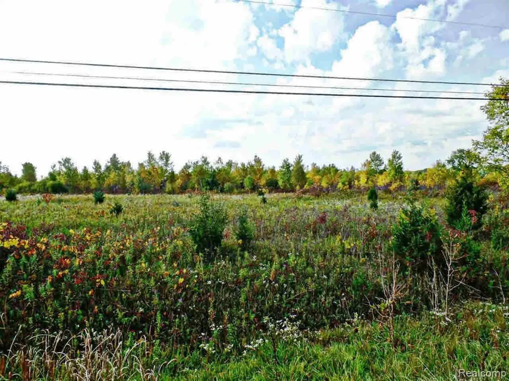 9147 Corunna Road Clayton Charter Township MI 48532