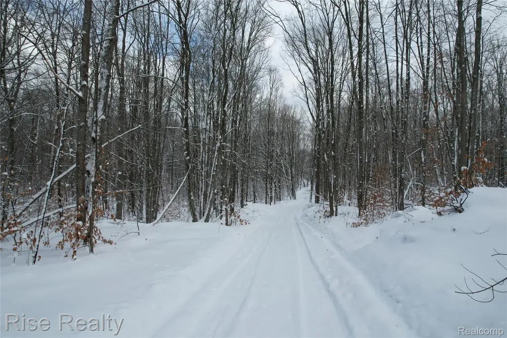 11860 E 22 3/4 Road Cedar Creek Township MI 49663