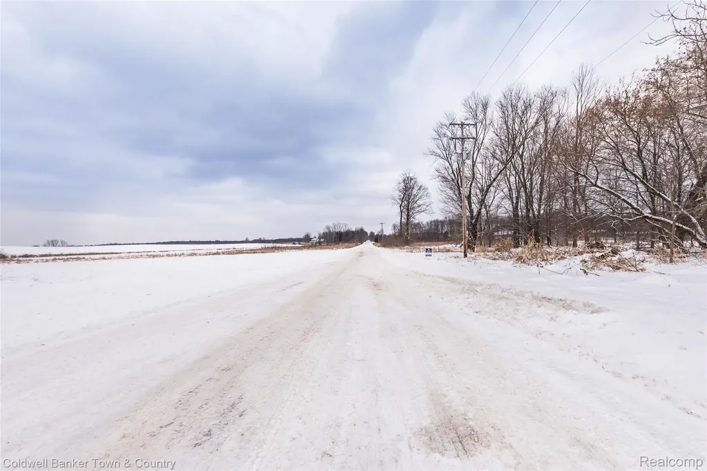 Vl Spears Unadilla Township MI 48137