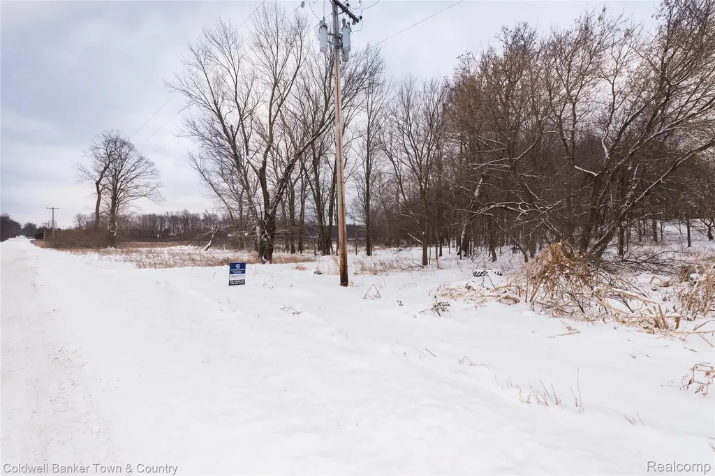 Vl Spears Unadilla Township MI 48137