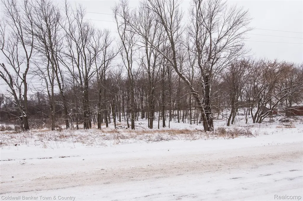 Vl Spears Unadilla Township MI 48137