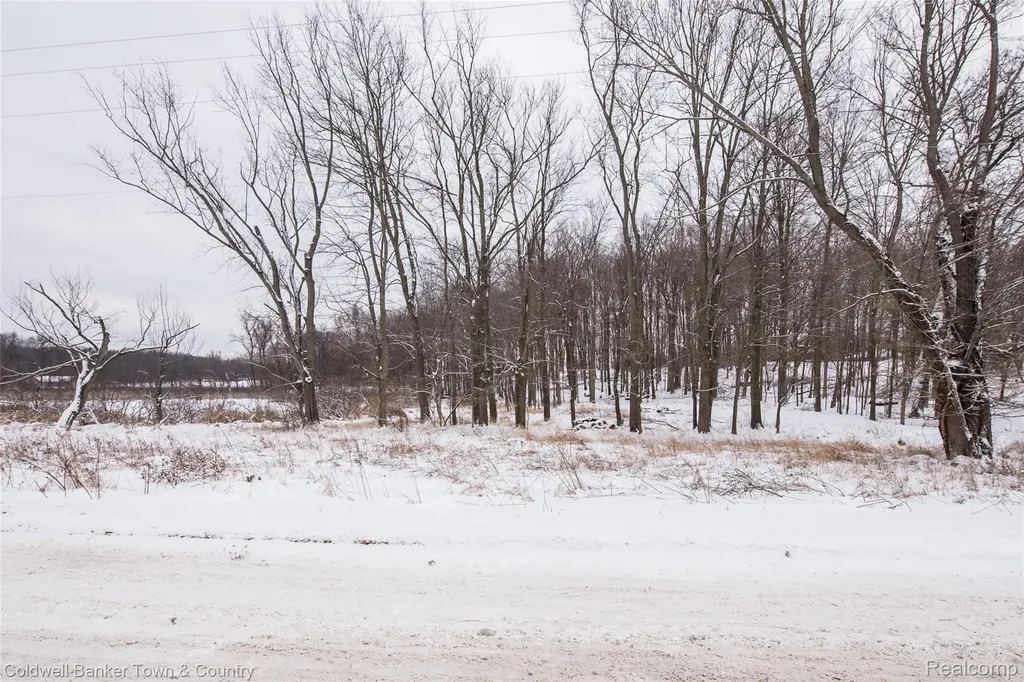 Vl Spears Unadilla Township MI 48137