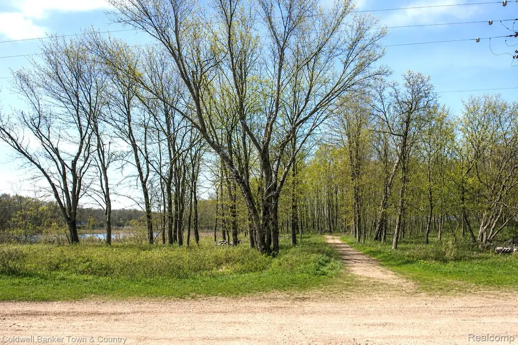 Vl Spears Unadilla Township MI 48137